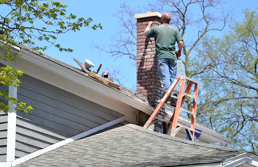 Chimney & Fireplace Inspections Services in Deltona, FL